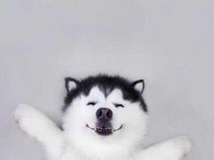 -苏生镇江鸭血粉丝(永泰国际广场店)