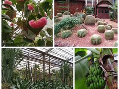 -呀路古热带植物园