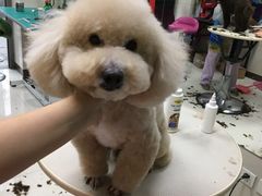 -北京观赏动物医院·24小时大型综合·猫专科·异宠专科