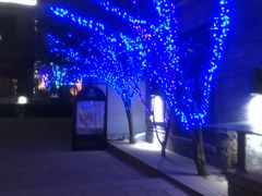 -绿地·中山里