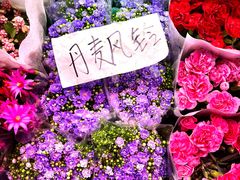 -花鸟鱼虫鲜花绿植市场(玉泉路店)
