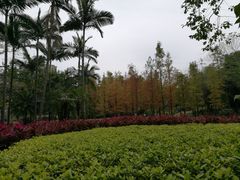 -晓港公园