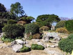 -西湖外事游船(花港观鱼码头)