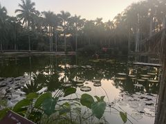 -中国科学院西双版纳热带植物园