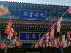 -龙口南山旅游景区