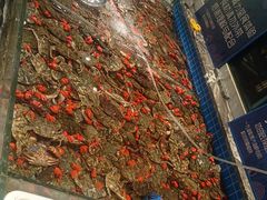 -一方渔歌蒸汽海鲜自助(文化路万达广场店)