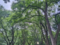 -玲珑塔公园