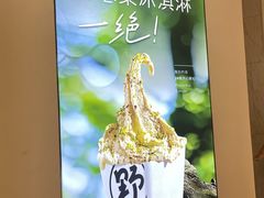 -野人先生现做冰淇淋(深圳壹方城店)