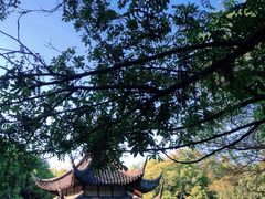 -西园戒幢律寺