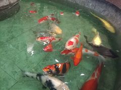 -古莲·影院足道·按摩SPA(水上温泉店)