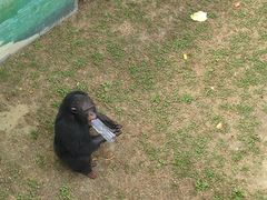 -西霞口神雕山野生动物世界