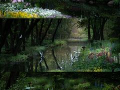 -上海共青森林公园