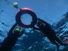 -高雄85大楼-观景台