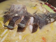 -咕嘟草帽鱼·牛奶一样的鲜鱼汤(包河万达广场创始店)