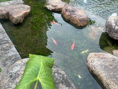 -南宁荔园维景国际酒店·荔园中餐厅