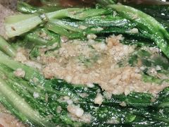 -三强鸽子(中原路店)