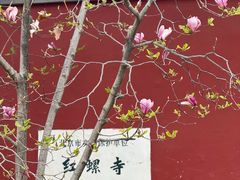 -红螺寺