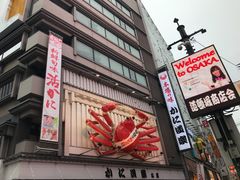 -蟹道乐(道顿堀本店)