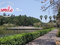 -南国桃园旅游度假区