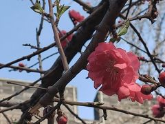 -尤素福东举院饺子馆