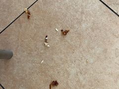 -乡村基(双流时代奥特莱斯餐厅)