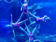 -多彩贵州城极地海洋世界