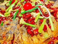 -老板恋上鱼(恒隆广场店)