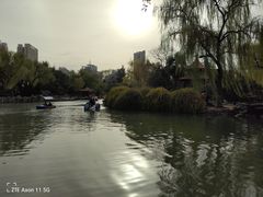 -西苑公园