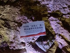-北京周口店北京人遗址博物馆