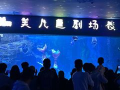 -多彩贵州城极地海洋世界