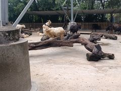 -广州长隆飞鸟乐园