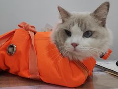 -荔康动物医院(康王北路店)