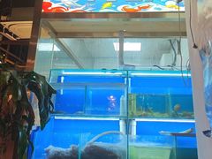 -阿鸡鱼庄·顺德鲜蒸小炒(亚运村店)