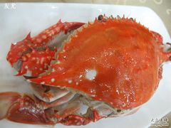 这个也不逊色-海岛渔村大酒店(云霄路店)