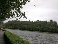 -南国桃园旅游度假区