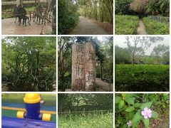 -广东茂名森林公园