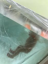 -生命加•Q考拉月子会所(玫瑰园店)