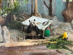 -海南热带野生动植物园