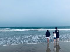 -汕尾风车岛