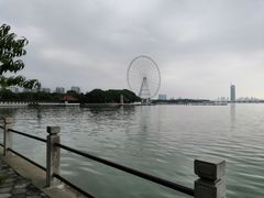 -无锡蠡湖国家湿地公园-蠡园