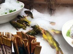 -鸽子窝(青塔店)