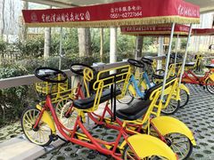 -合肥滨湖国家森林公园