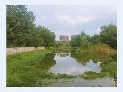-汉水公园