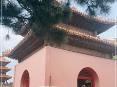 -北陵公园