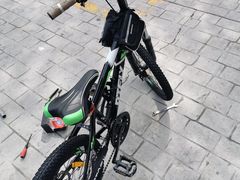-道路口单车爱瓦士dahon大行