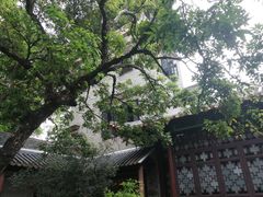 -东莞市可园博物馆