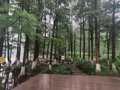 -重庆彩云湖湿地公园