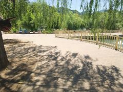 -百里山水画廊-恐龙游乐园