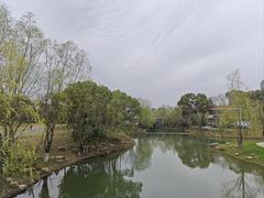 -洋湖国家湿地公园