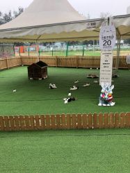 -萌宠亲子动物乐园(槐房万达店)